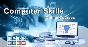 Computer-skills icon